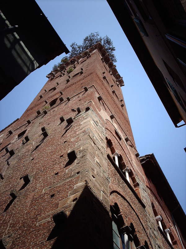 Torre Guinigi ( )