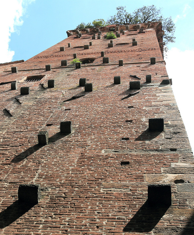Torre Guinigi ( )