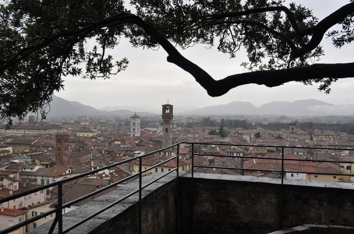 Torre Guinigi ( )