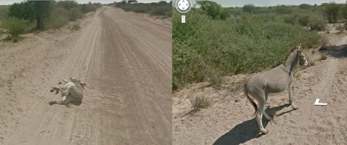   Google Street View