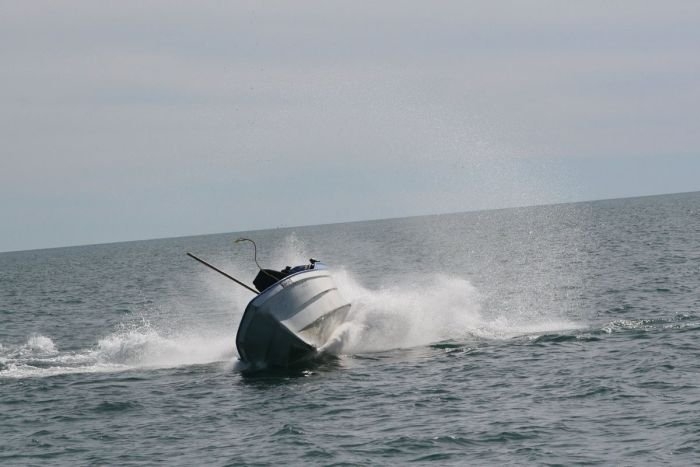 Игры китов в Калифорнийском заливе