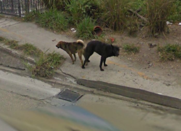     Google Street View