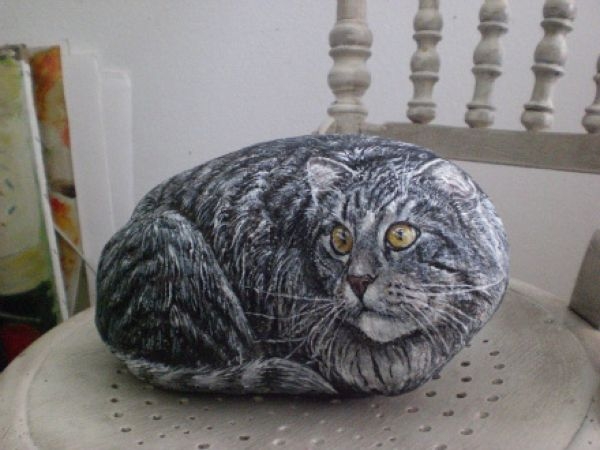 Потрясающие картины котов на камнях