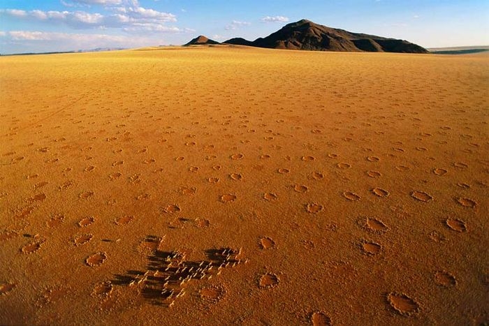 Таинственные круги Намибии 