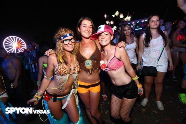      Electric Daisy Carnival  -