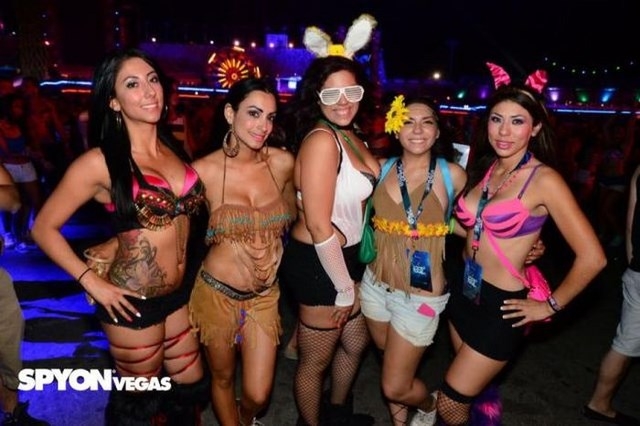      Electric Daisy Carnival  -