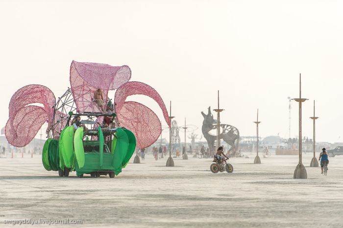   Burning Man 2013