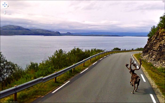     Google Street View