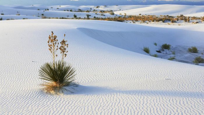 White Sands