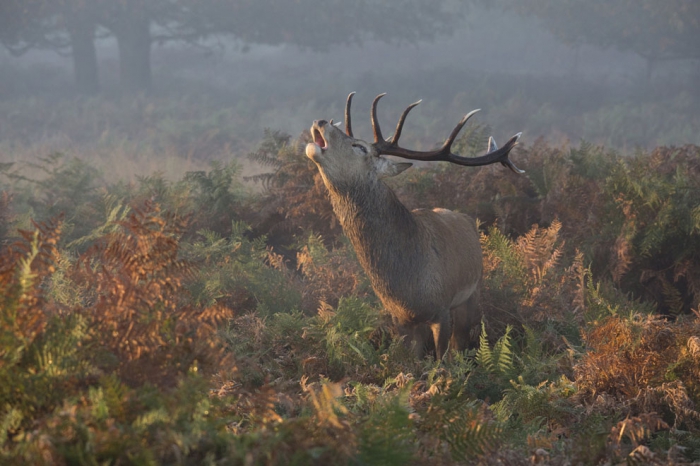  National Geographic Photo Contest 2013