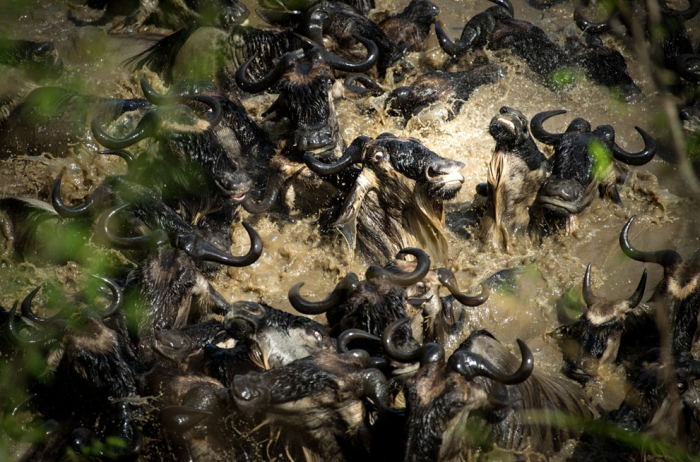  National Geographic Photo Contest 2013