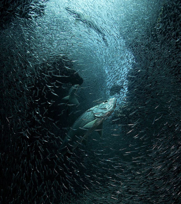  National Geographic Photo Contest 2013