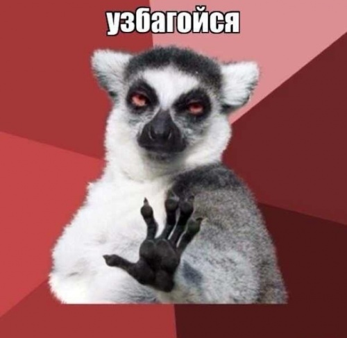 Интернет-мемы Рунета