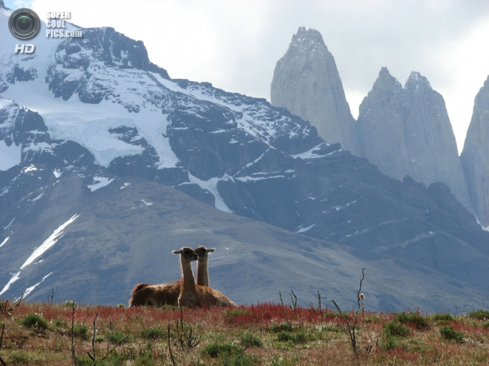 Национальный парк Торрес-дель-Пайне (Чили)