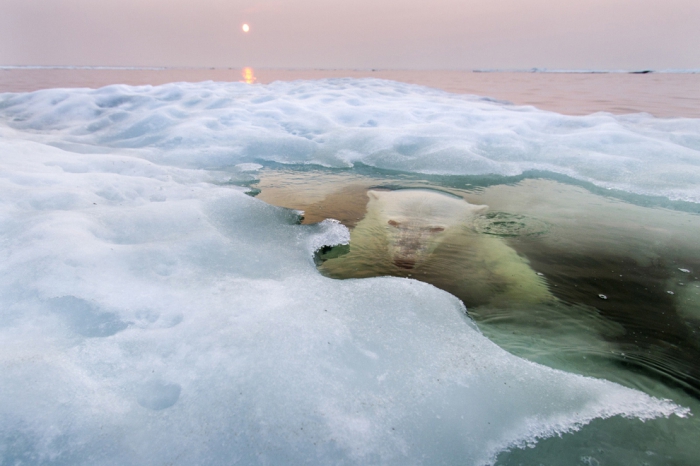   National Geographic Photography Contest 2013