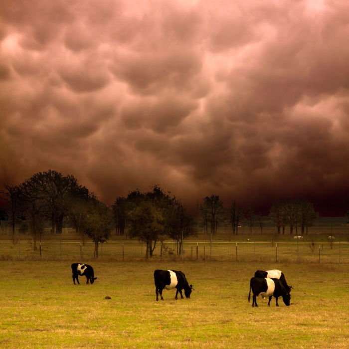  Mammatus