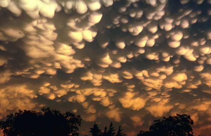  Mammatus