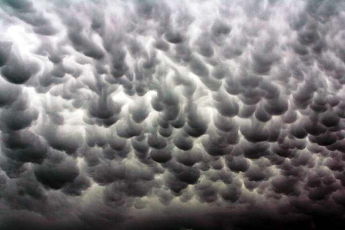  Mammatus