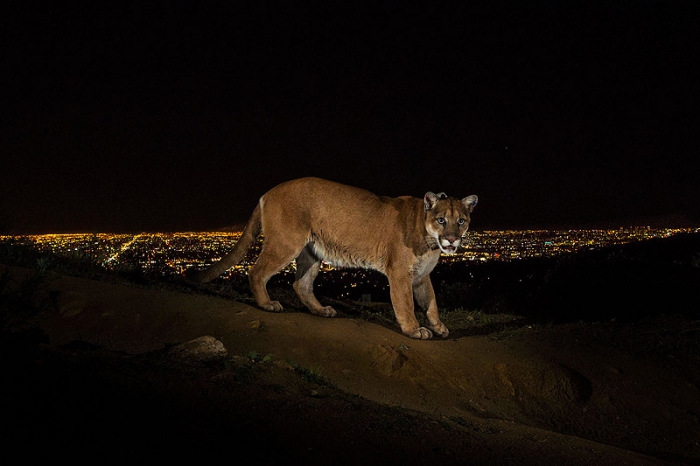    World Press Photo 2014