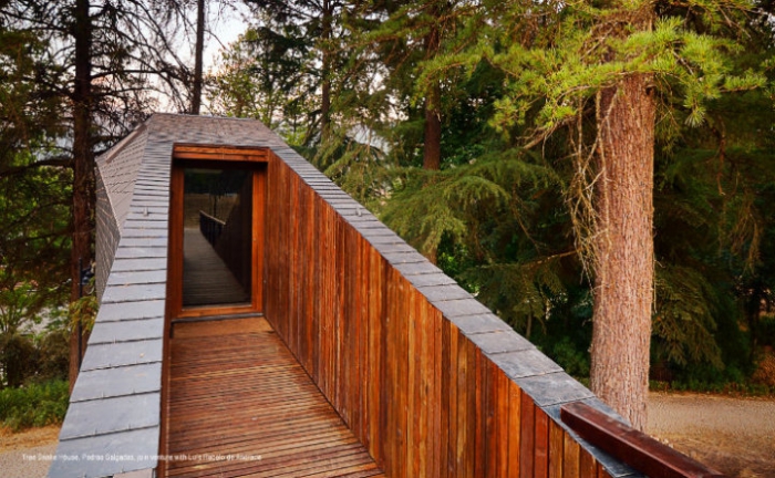   Tree Snake Houses