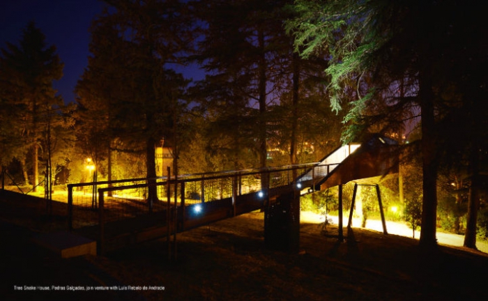   Tree Snake Houses