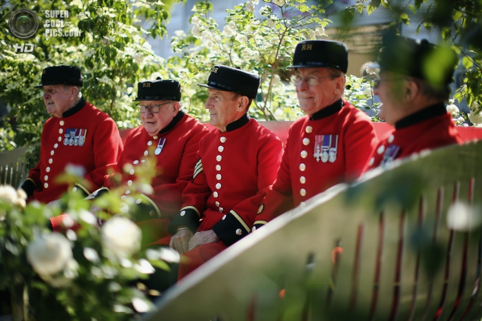 Chelsea Flower Show 2014