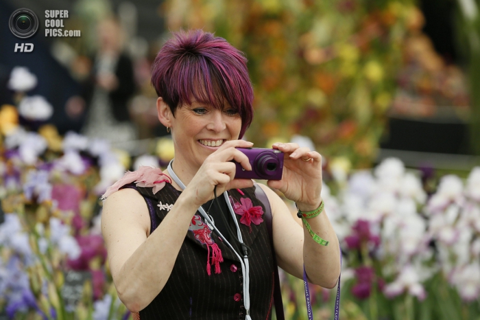 Chelsea Flower Show 2014