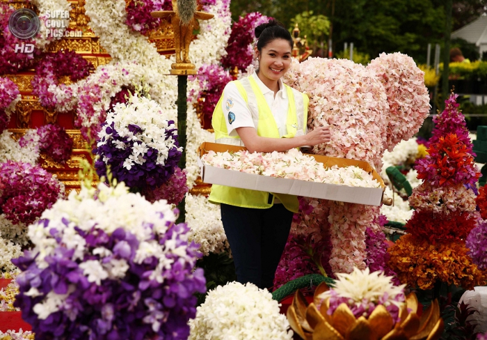 Chelsea Flower Show 2014