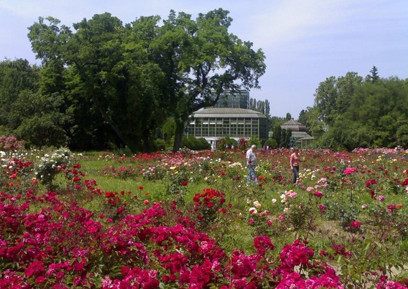 Ботанический сад кишинев фото