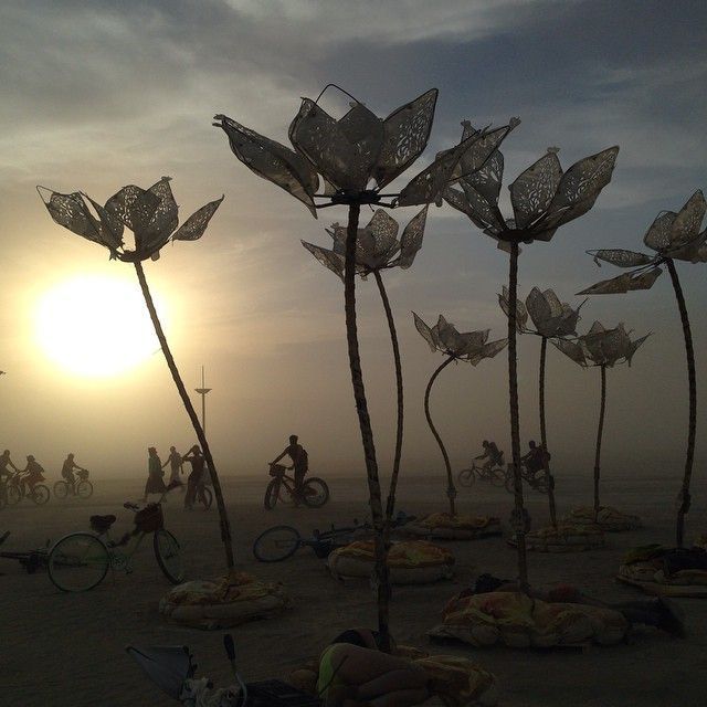 Burning Man 2014