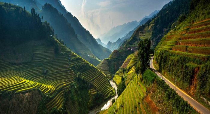 рисовые террасы Вьетнама