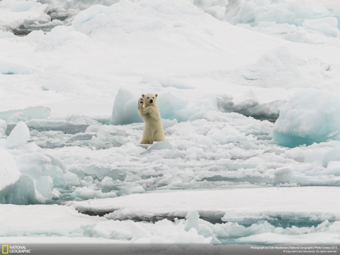   National Geographic 2014