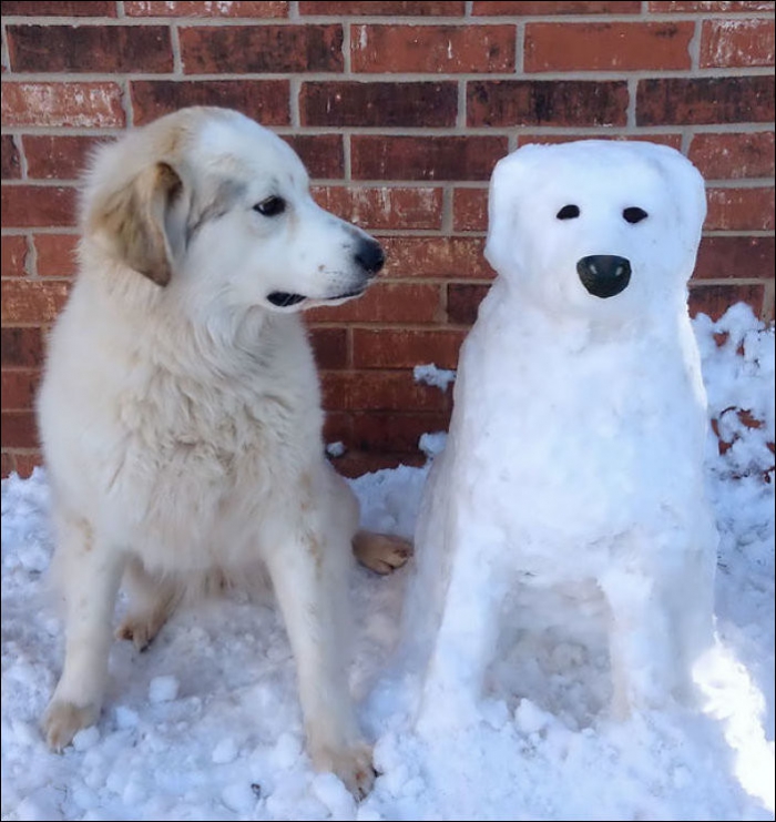 Снежные скульптыры домашних животных