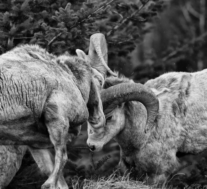  Outdoor Photographer of the Year 2014