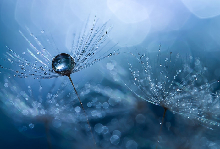    Miki Asai