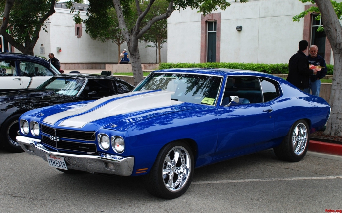 Muscle Cars ( 2)