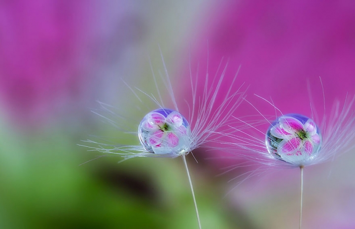   Miki Asai