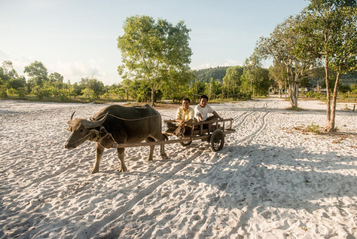 Австралийка превратила заброшенный остров в Камбодже в люксовый курорт