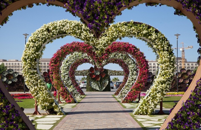 Цветочные сады в Дубае 