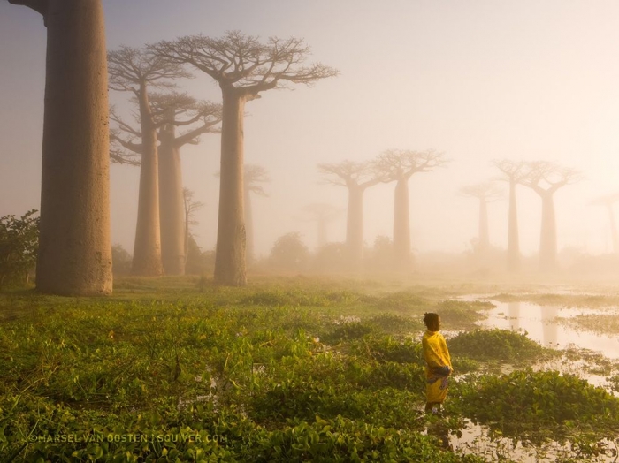 Лучшие фотографии от National Geographic за июль