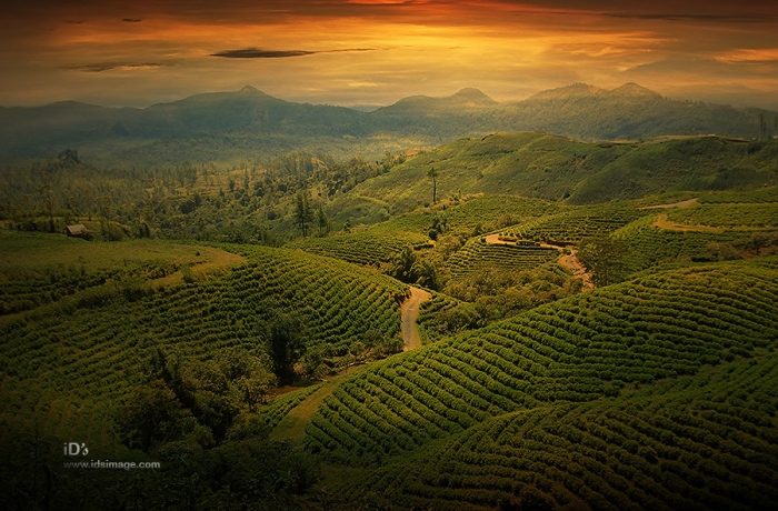 Индонезия в фотографиях Idrus Arsyad