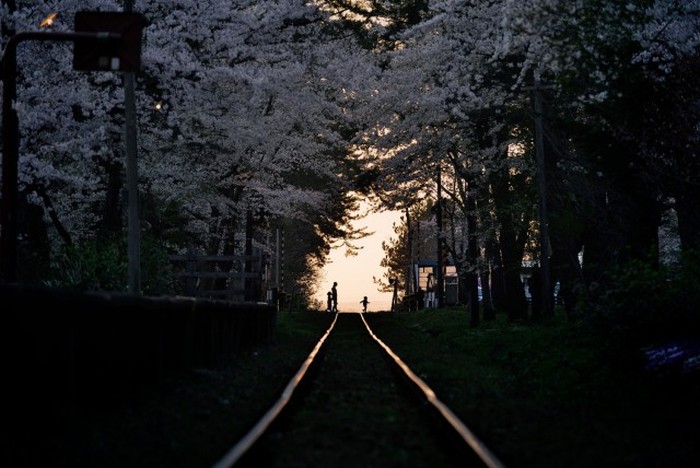 National Geographic Photo Contest 2015