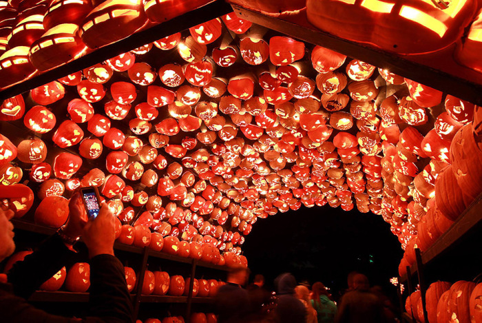  Great Jack O' Lantern Blaze