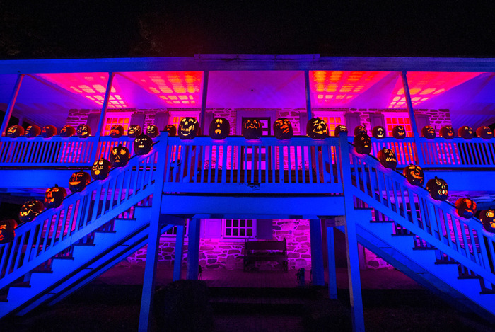  Great Jack O' Lantern Blaze