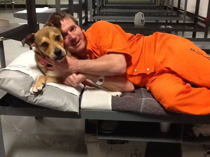В тюрьме США заключенным разрешили брать на воспитание бездомных собак