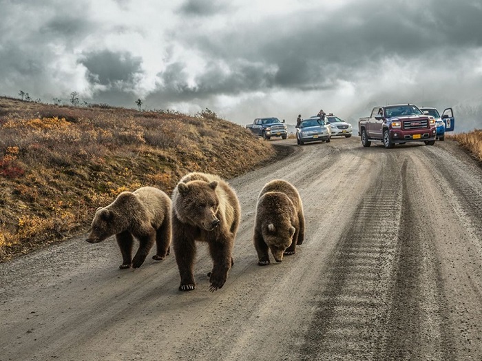    National Geographic   2016