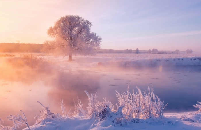 Зимняя красота природы