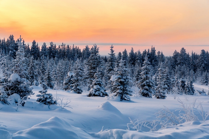 Снежные ландшафты Финляндии