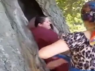 Женщина застряла в дереве