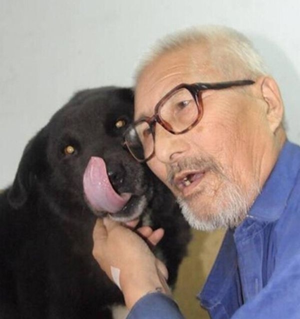 Пожилой китаец завещал все свои деньги собаке